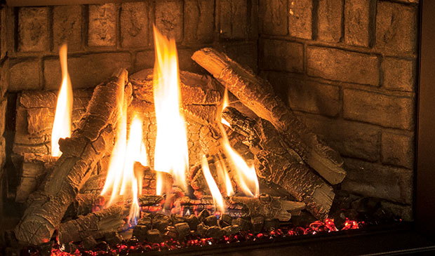Birch log set blazing in the Enviro EX35