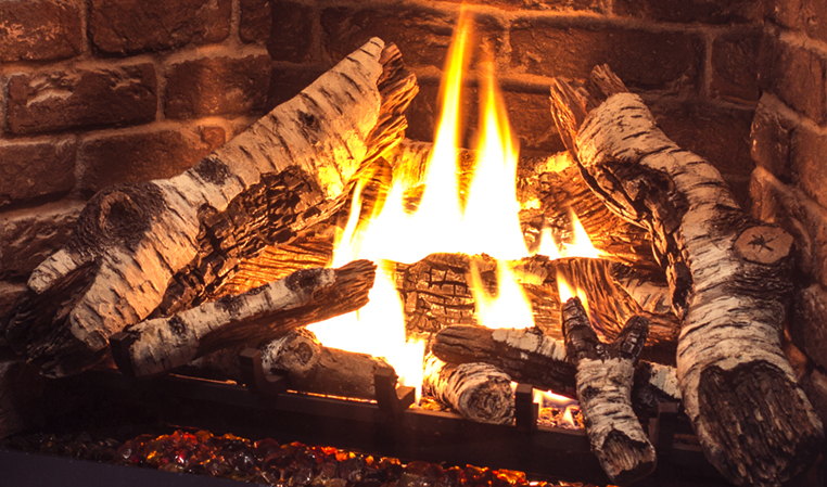 Birch logs burning against the brick liner of the Enviro G42