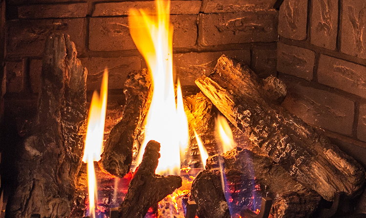 Log fire against the herringbone liner of the Enviro Q3