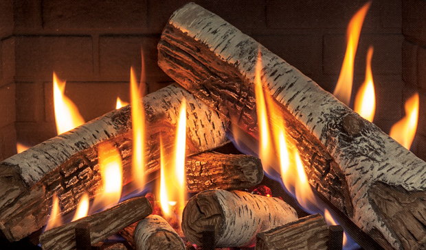 Birch logs burning in the Enviro RI30 insert