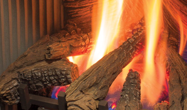 Log set burning in the Enviro S20