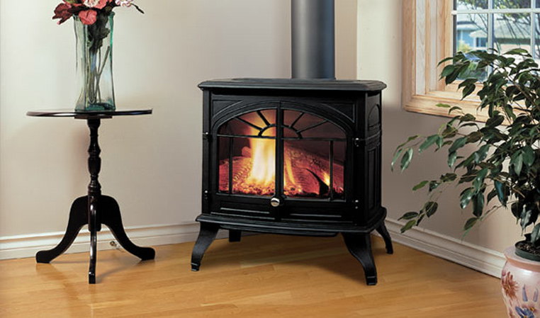 Enviro Westport cast iron gas stove beside a plant table