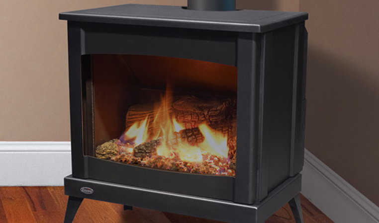 Enviro Westport steel gas stove with its clean-lined door