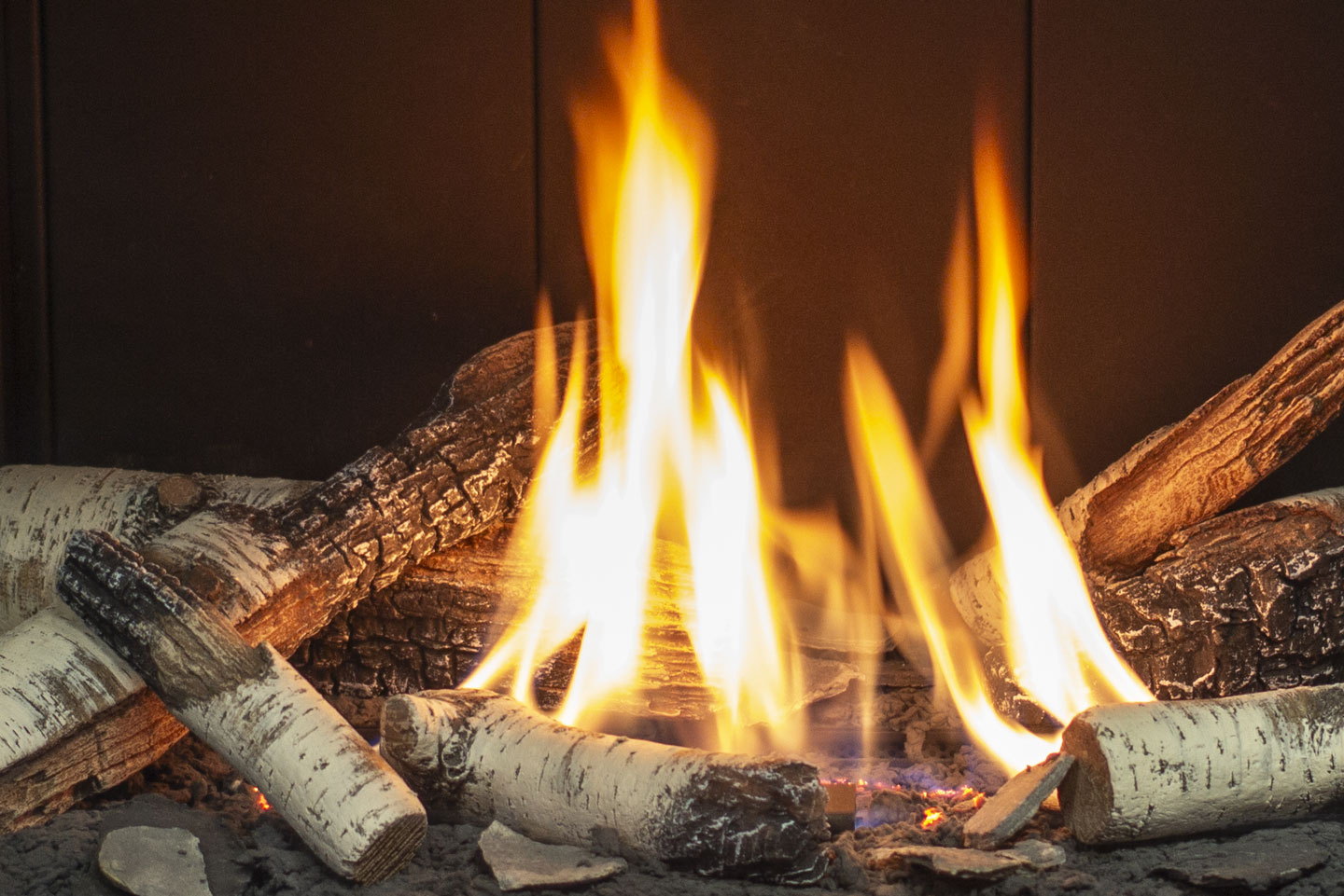 Close view of birch logs burning in the Urbana U30 Bay